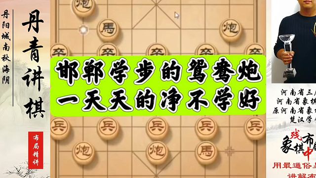 邯郸学步的鸳鸯炮，一天天的净不学好！如何学习布局、中局、残局？河南省象棋冠军黄丹青真心教棋少走弯路带