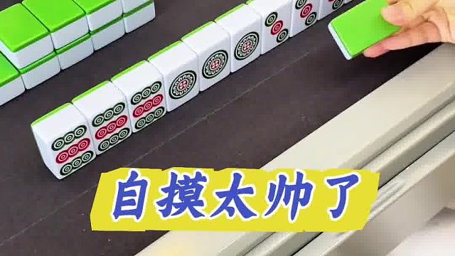 自摸太帅了