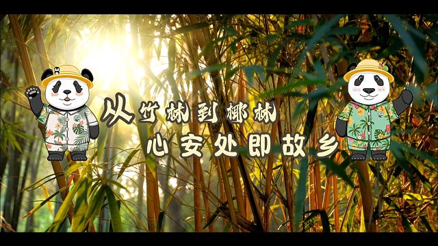 贡贡舜舜成长回顾片暖心上线（看完片头会想哭）