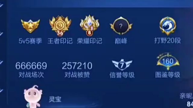 Gemini看有玩家征战峡谷666669场