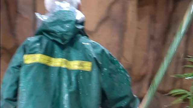 奶爸：敲竹竿我是专业的