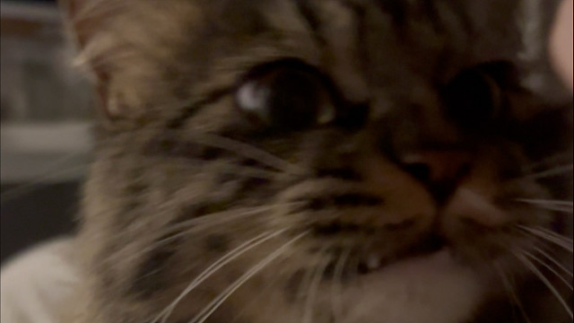 朋友让我一秒钟都不要剪