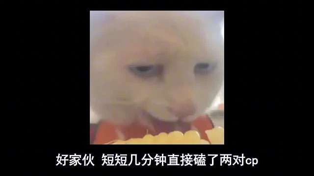 辛芷蕾上台替秦岚领奖，导播镜头切热巴画面