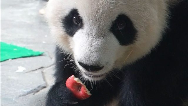 事已至此先吃饭吧~