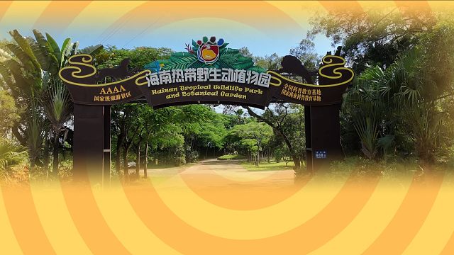 岛主认证：生日应援有排面，生日祝福很暖心！