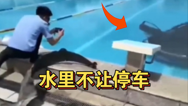 ⚡️师傅，游泳池里不让停车哦⚡️