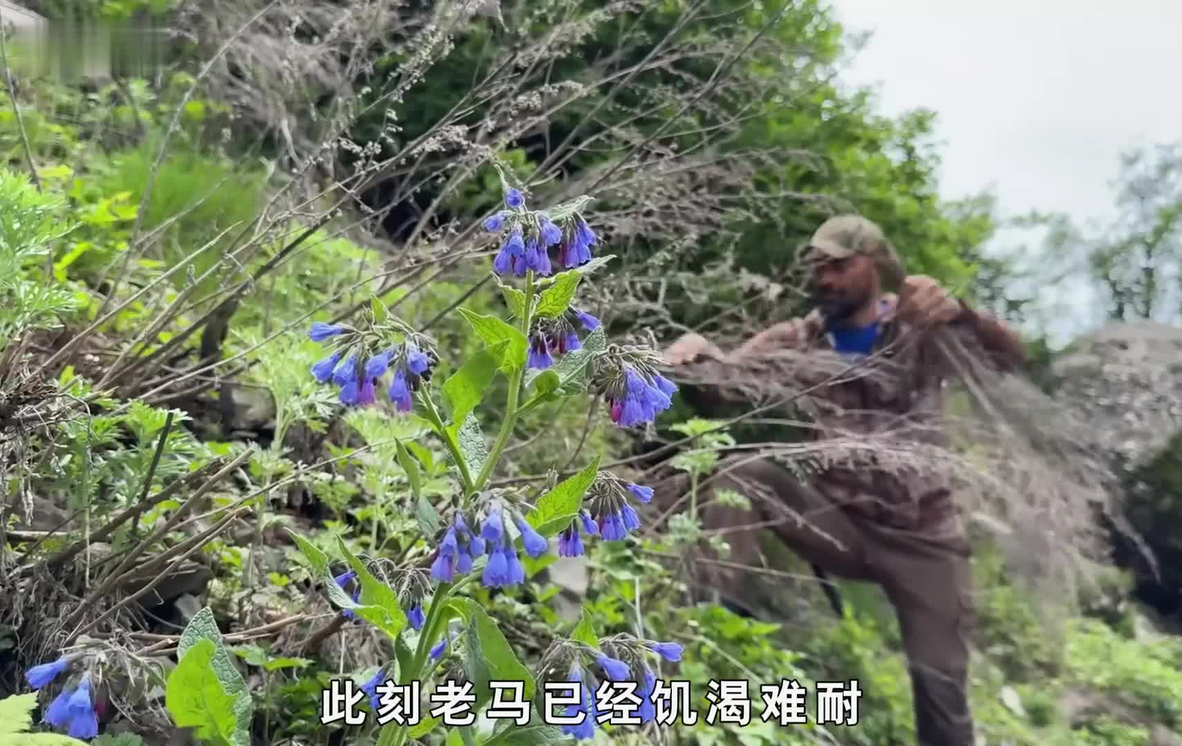 国外牛人将上古巨石改造成安全的庇护所，居住起来隐蔽又舒适