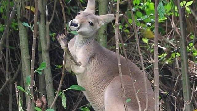 今天换换新口味~