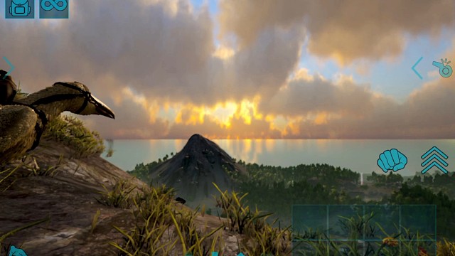 你总爱停在我刚搭好的木筏栏杆上，歪着头看我整理渔获，偶尔用带钩的喙抢过一条闪光的小鱼，扑棱着翅膀躲到