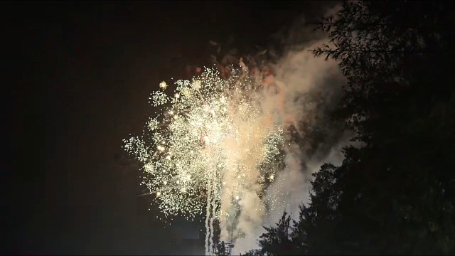 【烟花定格术】