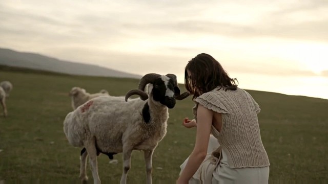 我与岁月争满分-冠军.乔