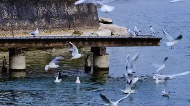 我与岁月争满分-冠军.乔0907