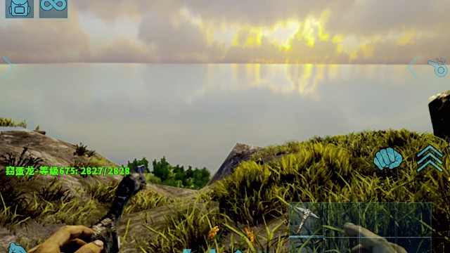 它总在巢穴间徘徊，利爪拂过冰凉的蛋壳时，像在触摸自己被偷走的时光。
 
人们说它只懂偷窃，却没人看见