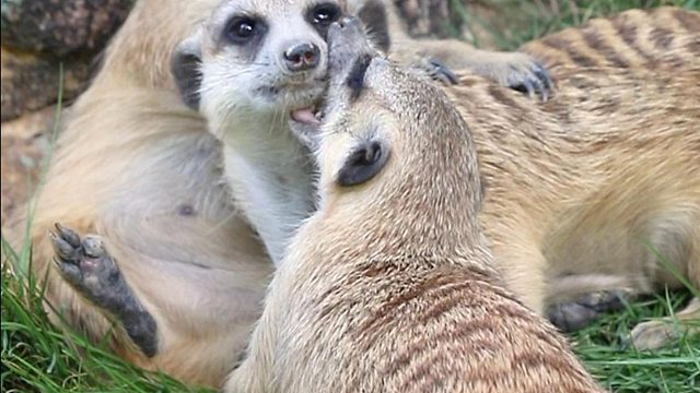 “君子动口不动手“