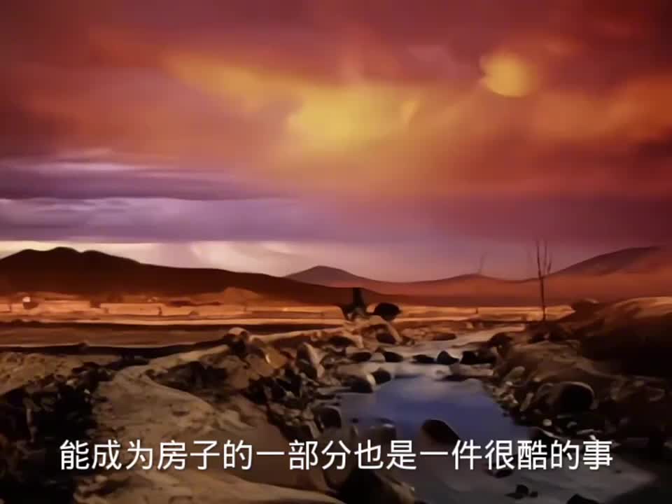 哆基朴的天空 狗大便被狗妈妈无情抛弃，最终找寻到了。。。