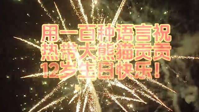 用100种语言祝热带大熊猫贡贡生日快乐