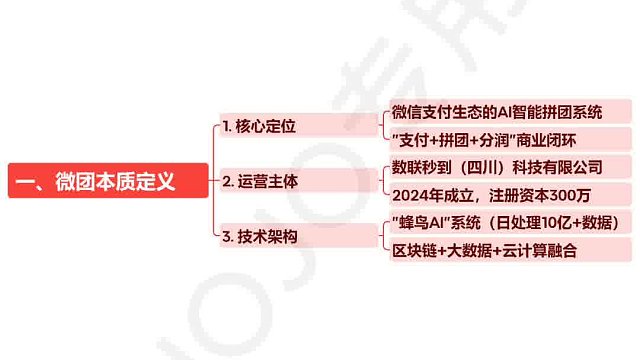 某团本地生活服务新模式——仅供参考，不做任何投资建议