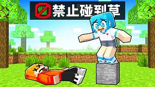 千萬(wàn)不要碰到草！碰到草就會(huì)死！【Minecraft】