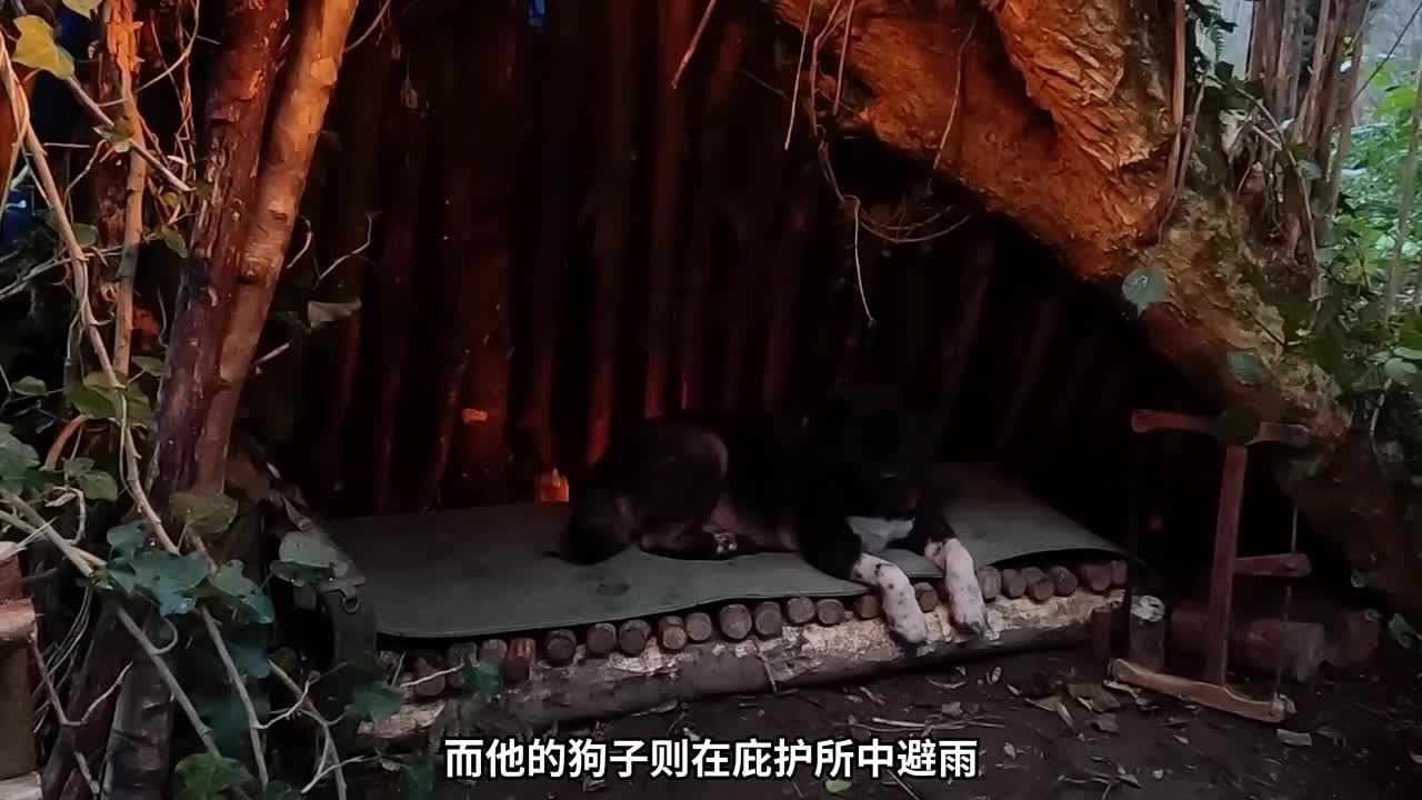 男人不仅在野外搭建了带院子的庇护所，还能吃上鲜嫩的烤羊腿