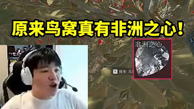 Letme落地十秒从鸟窝掏出非洲之心 连自己都没反应过来