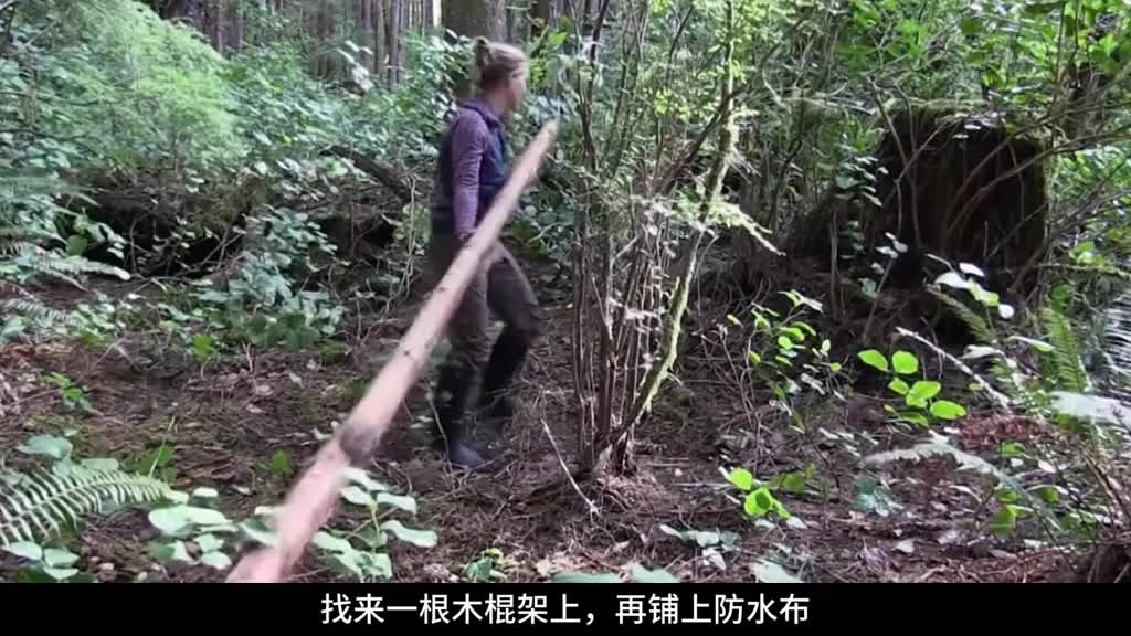 这把真的稳了天湖满地贻贝开局别人还怎么玩可惜不能吃