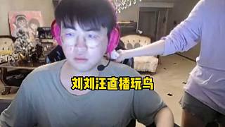 劉劉汪來到姿態(tài)身旁玩鳥秀自己的新寵物