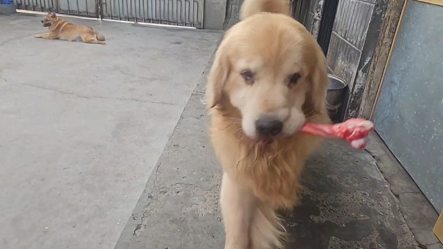 显摆瑞 最后一口都没吃着