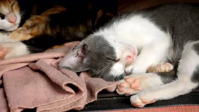 冠军.乔0907创造美好世界