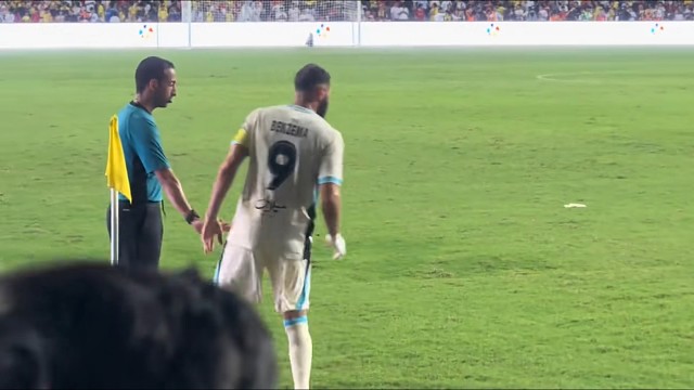 在20多岁的青春近距离看见笨马的机会不多