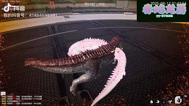 恐龙岛找玩家啦