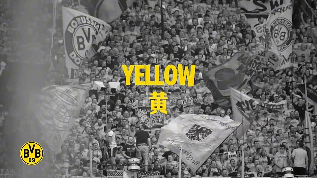 跟着节拍眨眨眼，这是属于德甲的色彩#足球