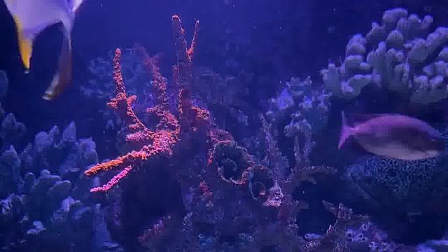 爱情犹如一条长河，在汇集各个支流的同时，它的河湘江越来越宽，河底越来越深不可测。