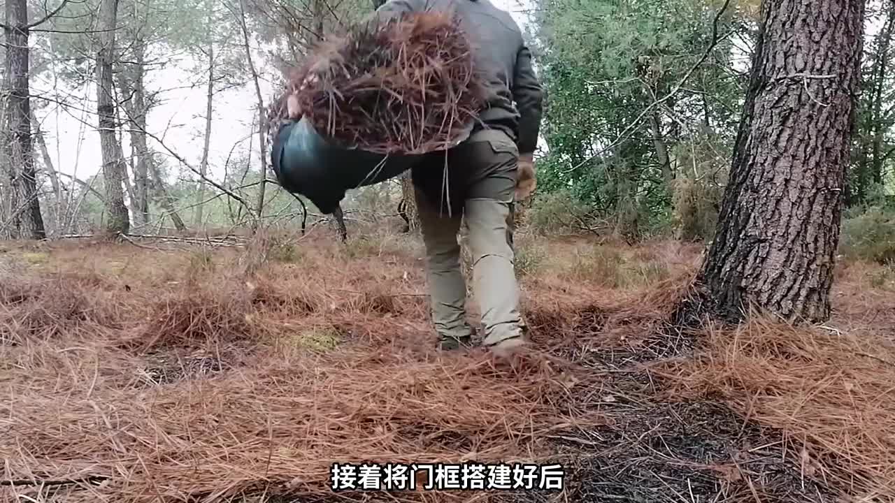 男人在野外发现一个洞，将其建造成庇护所，还吃上了烤板栗