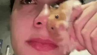 第一且唯一的射手FMVP一個巴掌扇不響