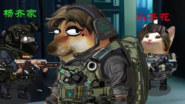 三角洲主播巅峰赛之齐家茶花双双重生归来，前世的爱已逝去