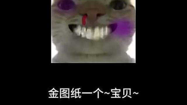 杨齐家金图纸3分钟纯享版