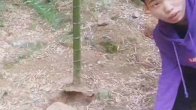 当初看鲨鱼的你，现在多少岁了？
