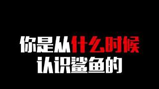 你是從什么時候認(rèn)識鯊魚的