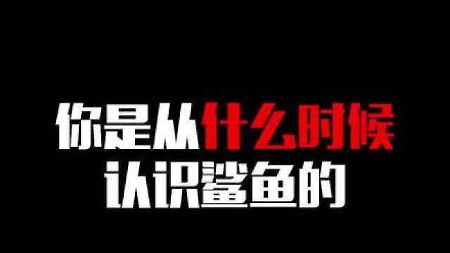 你是从什么时候认识鲨鱼的