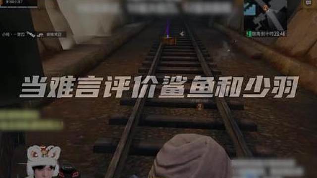 当难言评价鲨鱼和少羽...