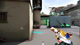 CXY劍指無畏杯冠軍