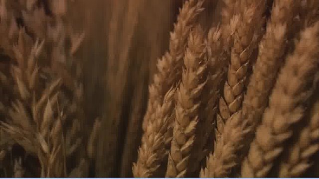 化疗后恢复？选它给你的健康加油