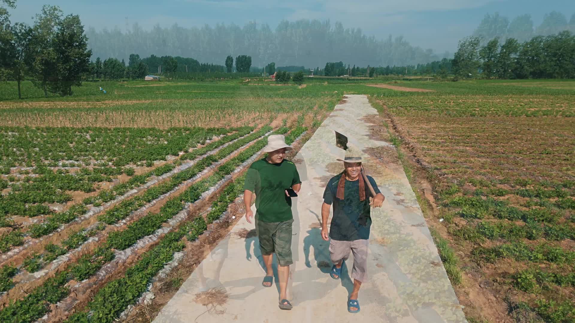 炎炎夏日，喷香哥跟着父亲溜达一早晨，母亲在家做好早饭，真幸福