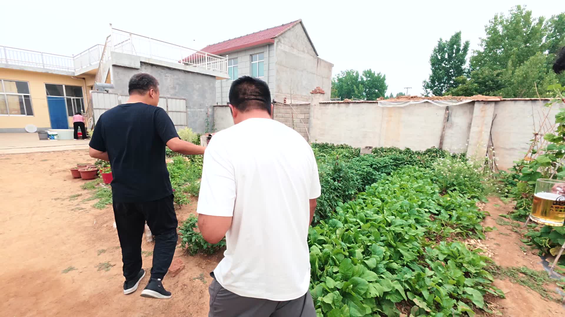 父亲收到40斤鲜啤酒，喷香哥回家做烧烤招待，在家门口举杯畅饮