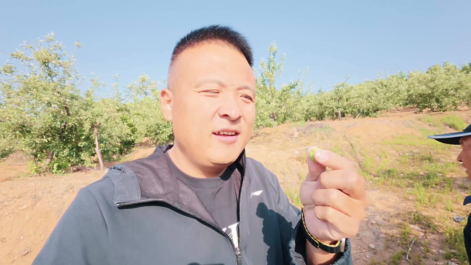 喷香哥跟着岳父上山，呼吸新鲜空气，感受自然风光，品尝农家美食