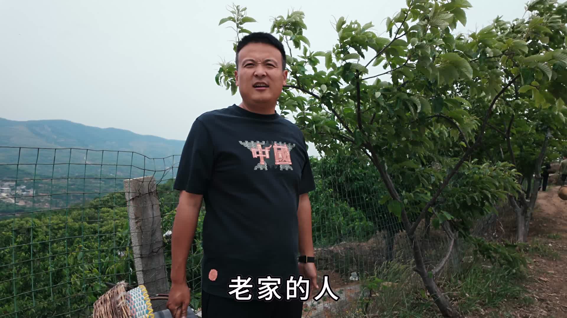 喷香哥带着媳妇摘樱桃，边摘边品尝，实现吃樱桃自由，一次吃个够