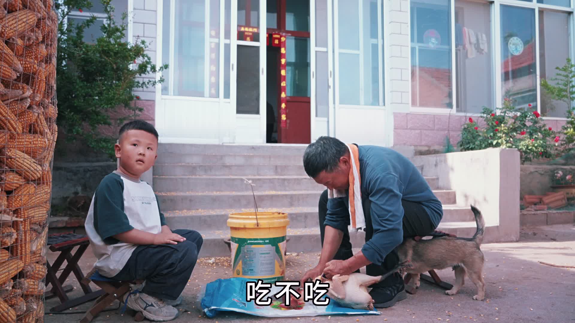 喷香哥带着媳妇孩子回娘家，跟着岳父逮鸡，陪着岳母炖鸡，真欢乐