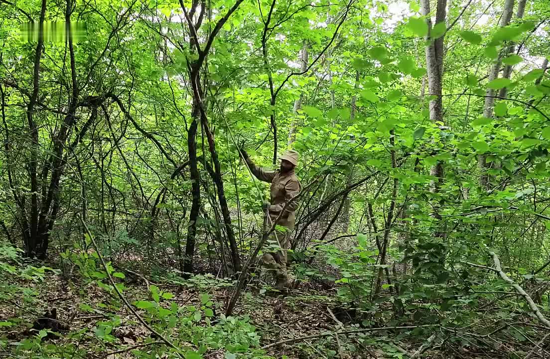 数百根木头搭建的熊式外观，绝对是荒野最安全的庇护所(1)