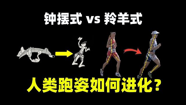 看似错误 实则科学,为什么普通人和运动员跑姿不同？人类跑姿是如何进化的？