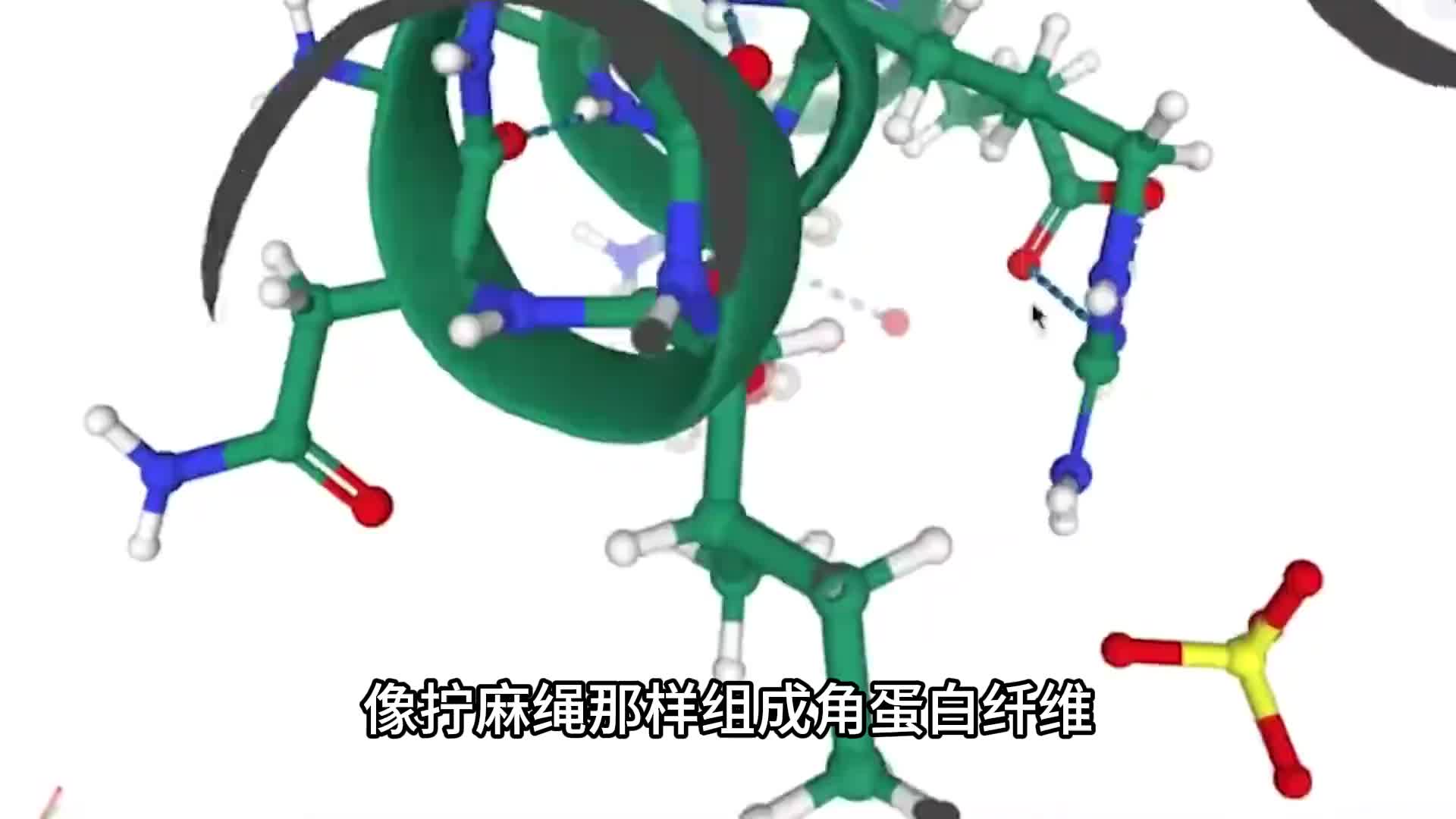 头发和指甲也是蛋白质，为什么人类不能消化？